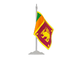 Search Websites Products and Services in Sri Lanka